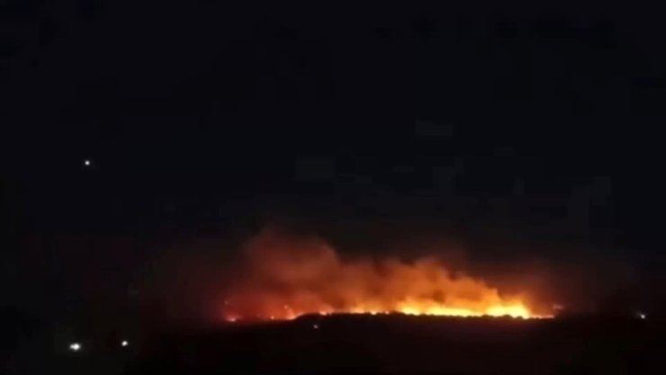 Gaziantep’te orman yangını