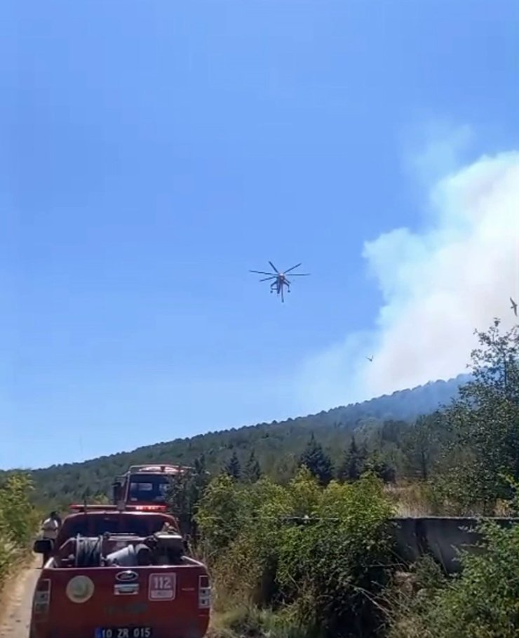 Balıkesir’de bir orman yangını daha