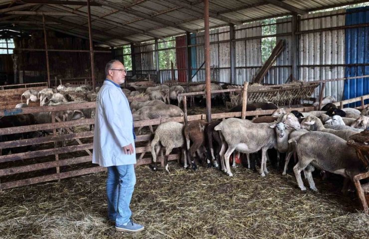 Süt kalitesi ve hayvan sağlığı güvence altında