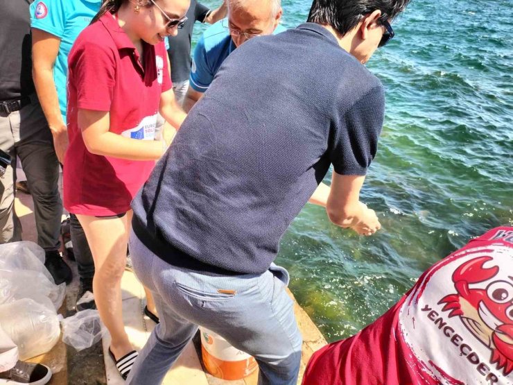 Köyceğiz Gölü’ne yavru balık bırakıldı
