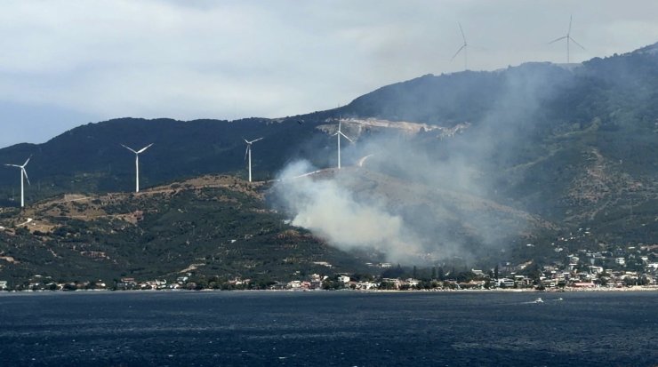 Marmara’da orman yangınına neden olan şüpheli gözaltına alındı