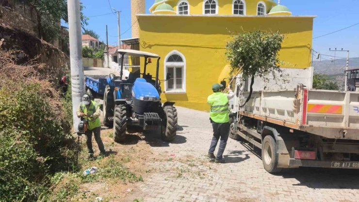 Aydın Büyükşehir’den Karpuzlu’daki yeşil alanlarda bakım ve düzenleme çalışması