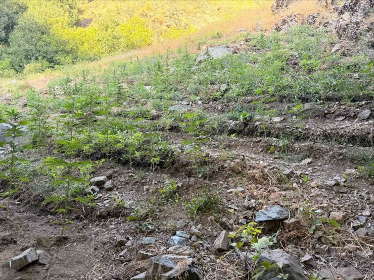 Bingöl’de çeşitli suçlardan 76 şüpheli yakalandı