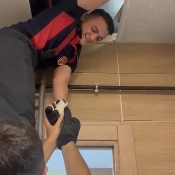 Asma tavanda mahsur kalan kedileri itfaiye kurtardı
