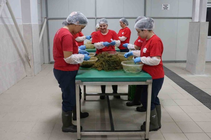 Efeler’in yöresel lezzetleri e-ticaretle Türkiye’ye ulaşıyor