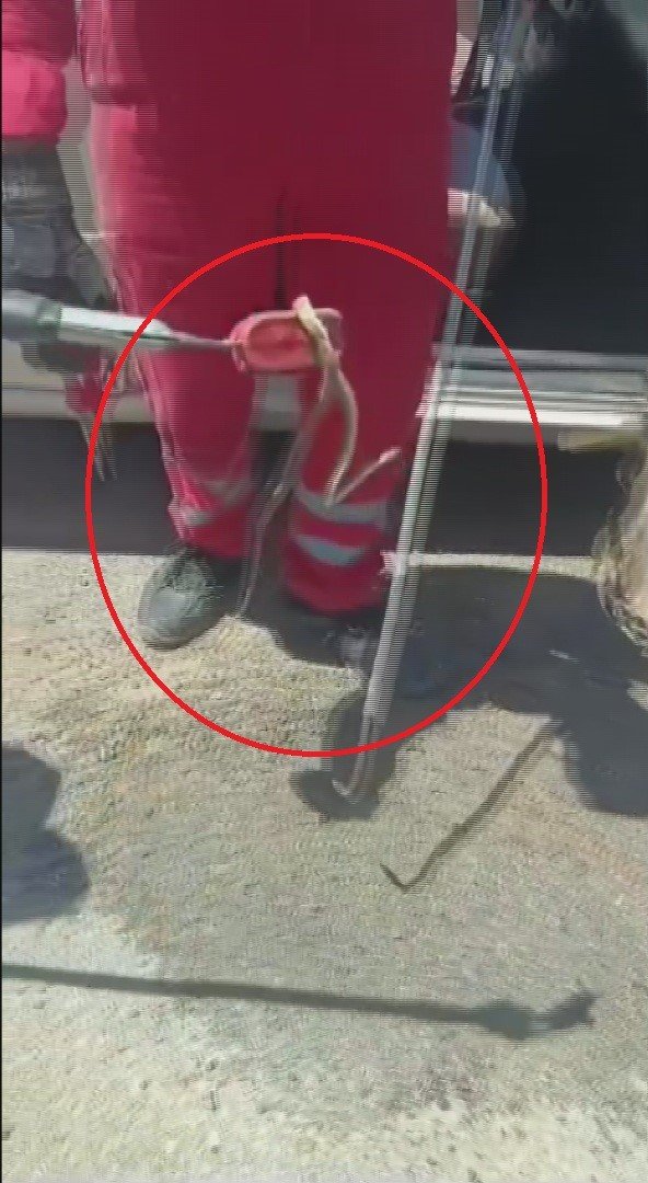 Aracına binerken fark ettiği yılanı itfaiye ekipleri yakaladı