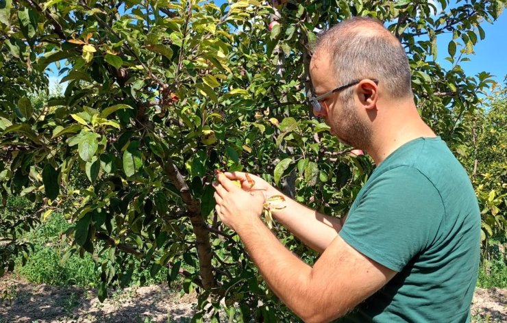Beyşehir’de tarım arazileri yakın takipte