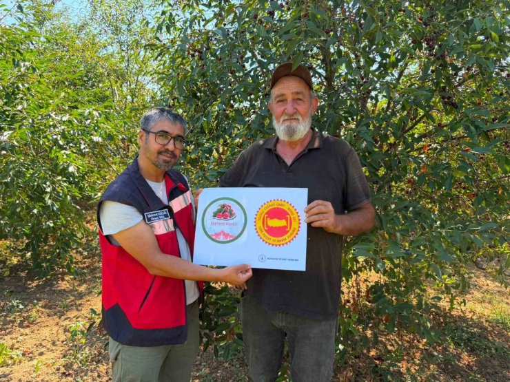 Şaphane Vişnesi için tescil çalışmaları sürüyor