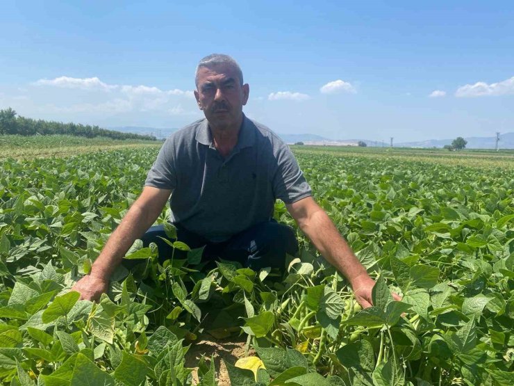 Bu köyde çiftçi sadece tarlasını hazırlıyor, gerisini kooperatif yapıyor