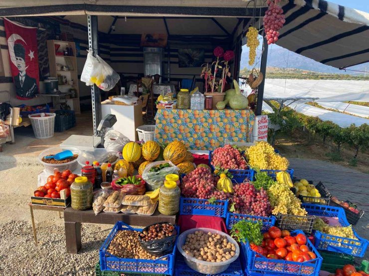 Yol üzerinde dalından sofraya