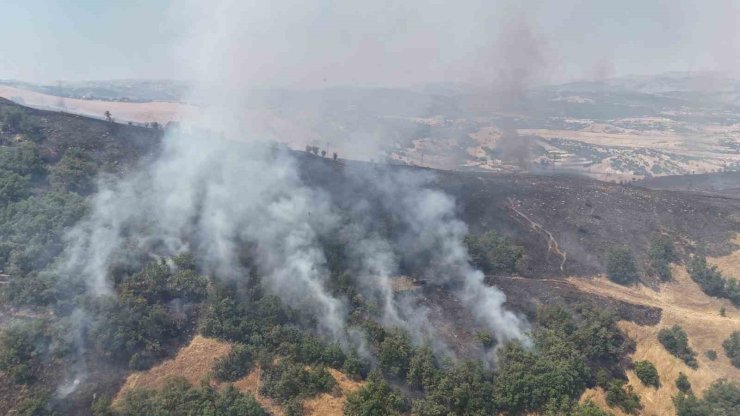 Tunceli’de orman yangını: Havadan ve karadan müdahaleye başlandı