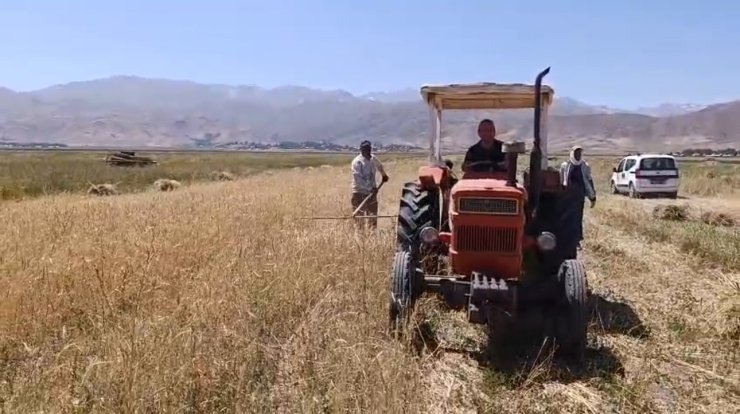 Yüksekova’da sıcak havaya rağmen çiftçilerin hasat mesaisi başladı