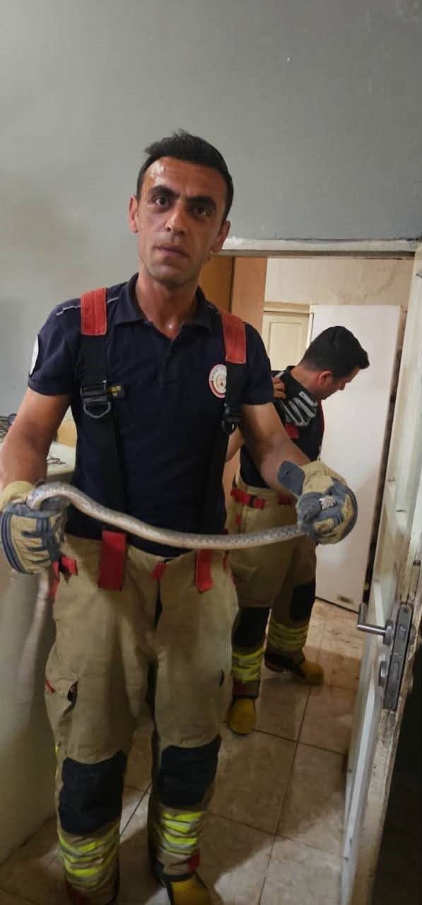Antakya’da evlere giren yılanlar yakalandı