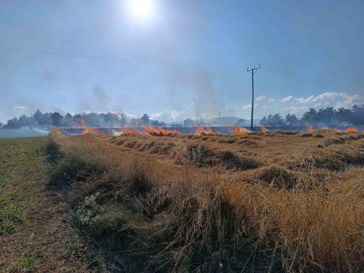 Kastamonu’da çıkan yangında 13 dönümlük tarar zarar gördü