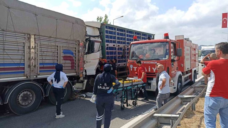 Tavuk yüklü tır, önündeki kamyona çarptı: 2 yaralı