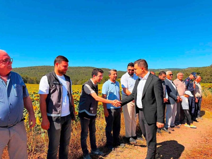 Kaymakam Titiz hasat sevincine ortak oldu