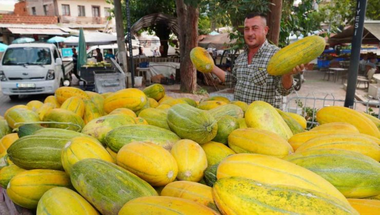 Tavan arasından çıkan tohumlar Altınbaş Kavununu yeniden canlandırdı