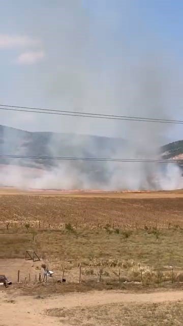 Bursa’da tarlalık alanı ateşe veren şüpheli yakalandı