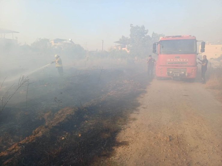 Hassa’da zeytinlik yangını yaşandı