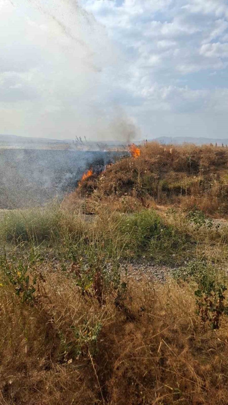Şuhut’ta anız yangını paniğe neden oldu