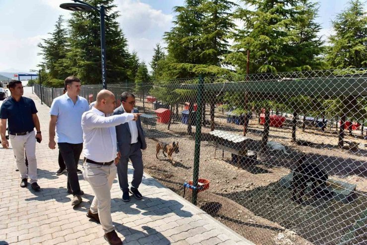 Başkan Hakan Şehirli Hayvan Bakımevi’ni ziyaret etti