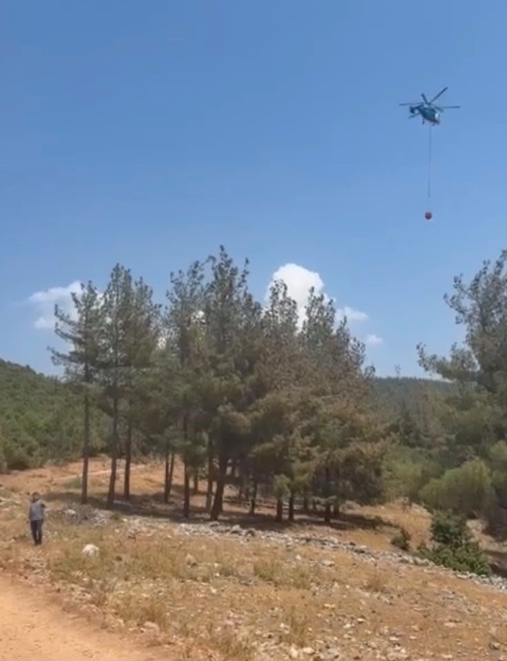 Gaziantep’te orman yangını: Havadan ve karadan müdahaleyle söndürüldü