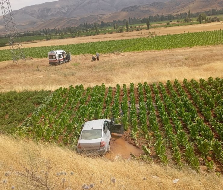 Malatya’da otomobil tütün tarlasına düştü: 3 yaralı