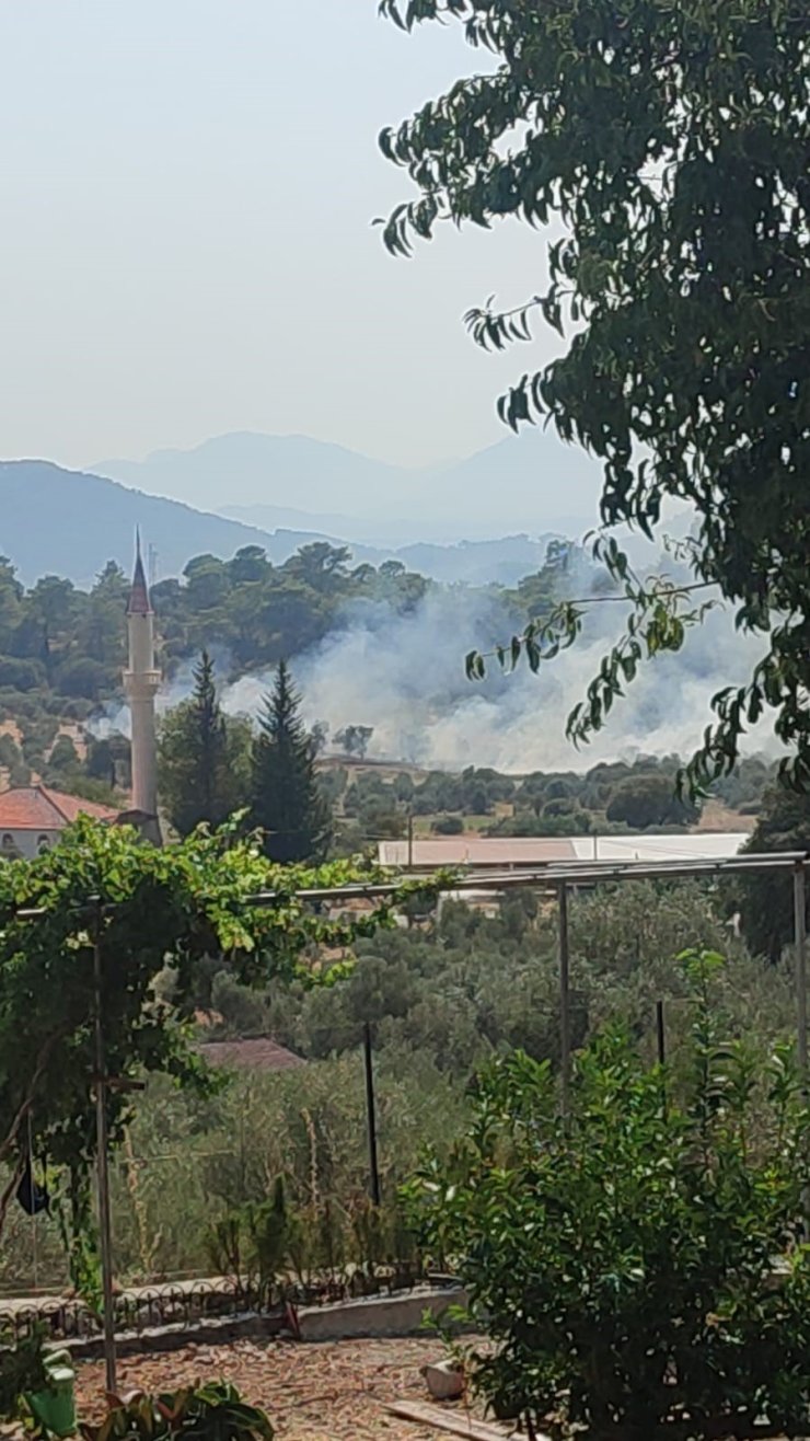 Dalaman’da orman yangını ekiplerin hızlı müdahalesi ile kontrol altına alındı