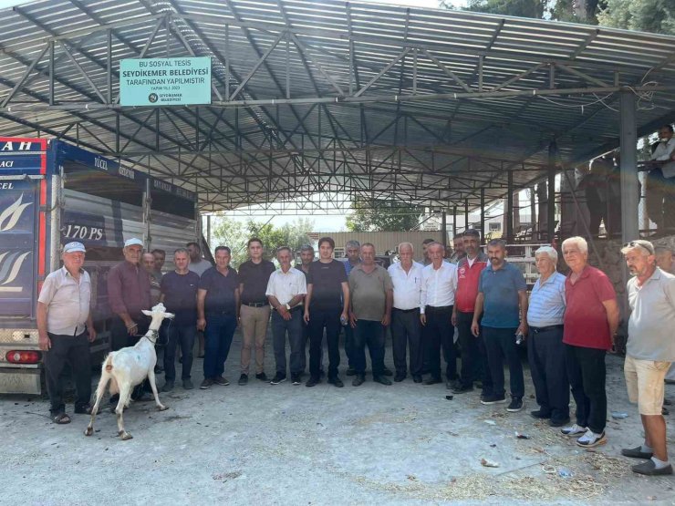 Seydikemer’de yangında hayvanlarını kaybeden çiftçilere küçükbaş hayvan desteği
