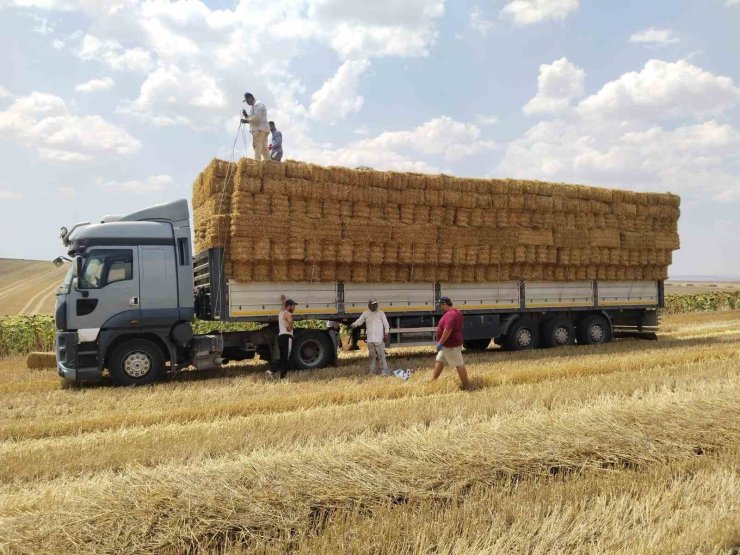 Tekirdağlı genç çiftçiden yangın bölgesindeki üreticilere saman balyası yardımı