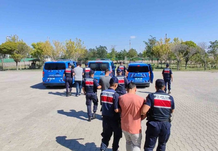 Köpekleri dövüştürüp sosyal medyada paylaştılar, jandarma ekiplerince operasyonla yakalandılar