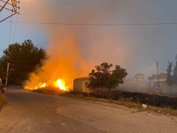 Çardak’ta yerleşime yakın boş arazide çıkan yangın korkuya neden oldu