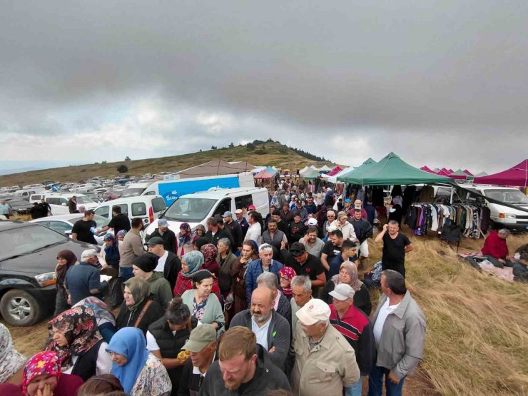 Bin 850 rakımlı zirvede şifa mesaisi: Hacet Bayramı’nda sarı kantaron topladılar