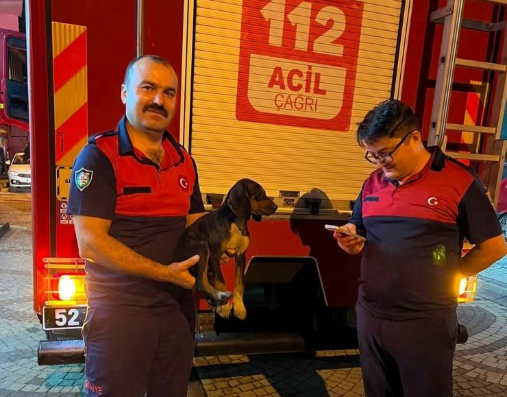 Depoya düşen köpek, itfaiye ekiplerince kurtarıldı