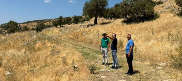Şırnak’ta milli takım seçmeleri öncesi Namaz Dağı’nda saha incelemesi