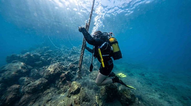 Güvercinada açıklarında deniz dibi temizliği yapıldı