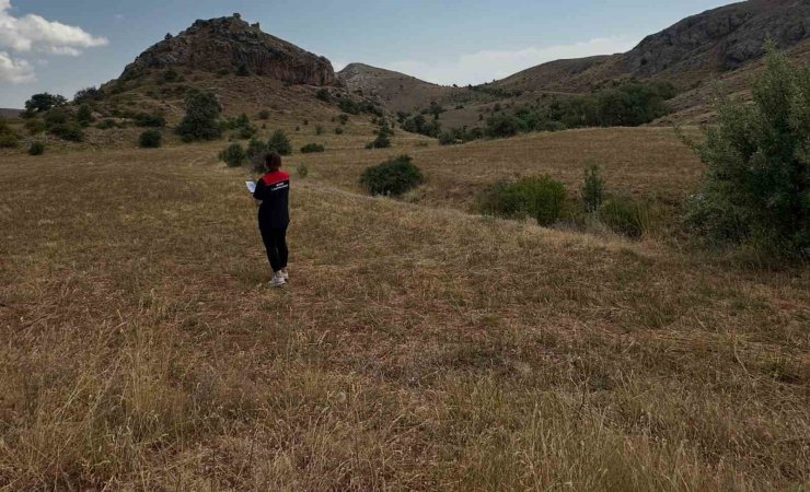 Aydıntepe’de ürün tespit ve ÇKS kontrolleri sürüyor
