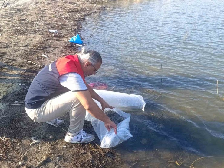 Göletlere 80 bin yavru balık bırakıldı