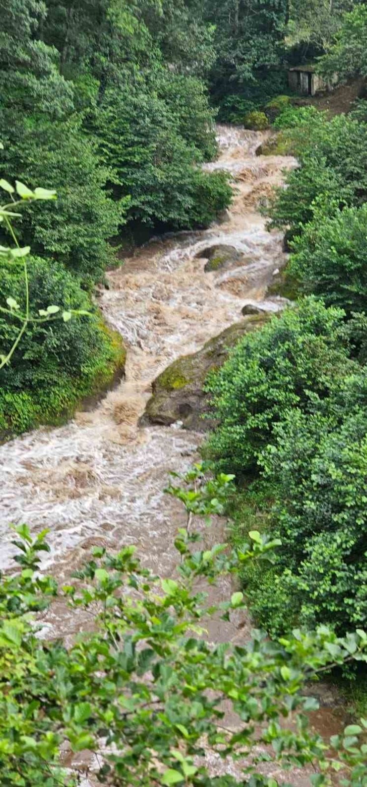 Giresun’da anne ile 2 kızı ile sel sularına kapıldı