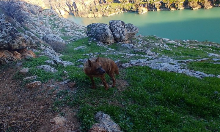 Doğal yaşamı bozanlara 5 Milyon TL’ye kadar ceza