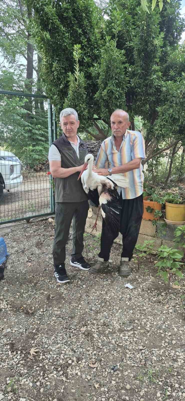 Evinin önüne gelen yaralı leyleğe sahip çıktı