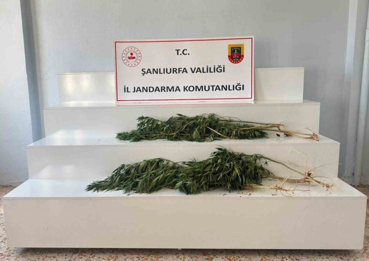 Şanlıurfa’da uyuşturucu operasyonu: 2 gözaltı