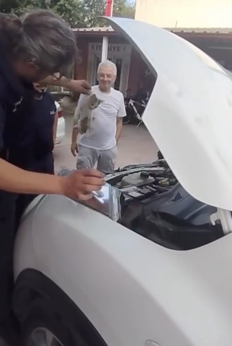 Yalova’da otomobile sıkışan minik kedinin yardımına itfaiye ekipleri yetişti