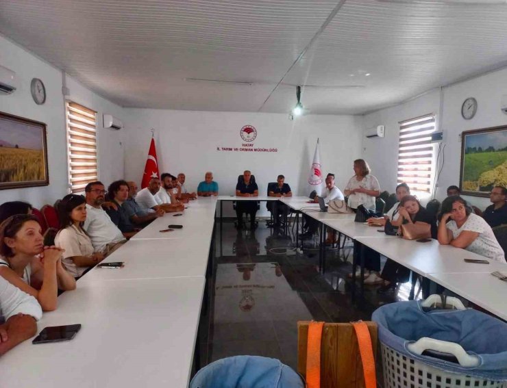 Hatay’da turunçgillerde doğru hasat uygulamaları anlatıldı