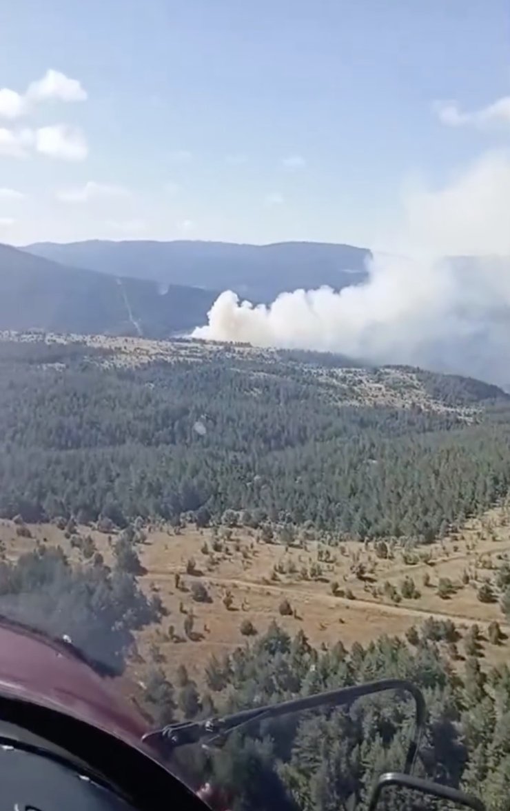 Kastamonu’da çıkan orman yangını ekiplerin hızlı müdahalesiyle söndürüldü