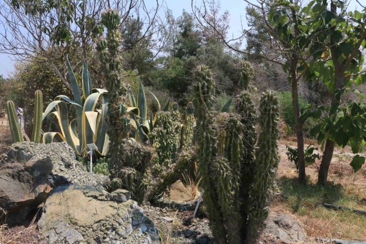 Patagonya değil Adana