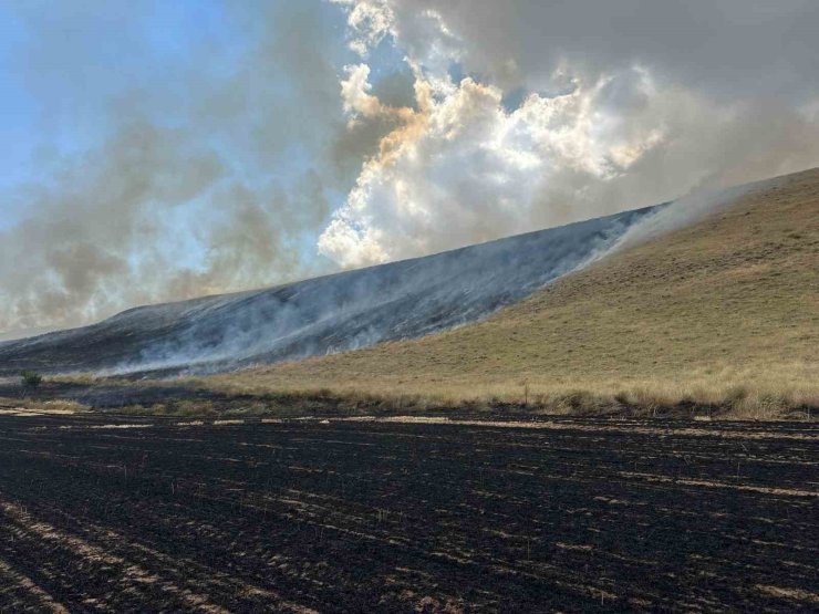 Bitlis’te örtü yangını: 400 dönüm alan küle döndü
