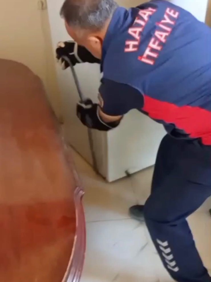 Hatay’da yerleşim yerlerine giren yılanlar yakalandı