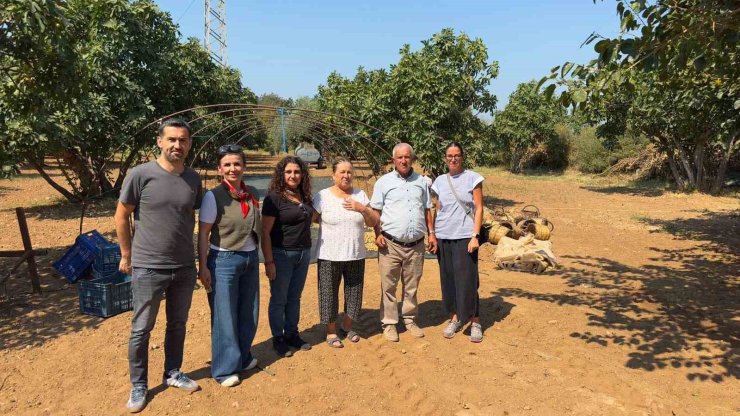 AYTO, Aydın İnciri’nin marka değerini korumaya devam ediyor