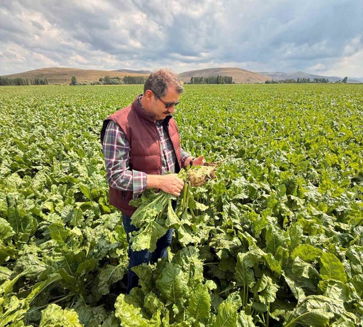 Milli Savunma Bakan Yardımcısı Ayhan’dan memleket paylaşımı